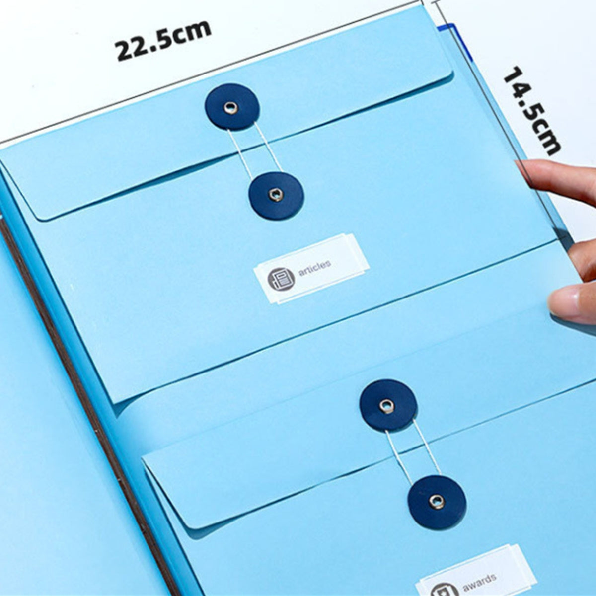 A4 Accordion File Organizer – 12 Pocket Expanding Document Folder